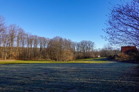 Elfenwiese am Morgen
