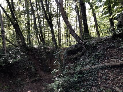 Photo de Martin Würsch le long du parcours