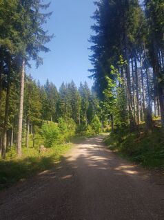Foto von Isabellamaier90 entlang der Tour