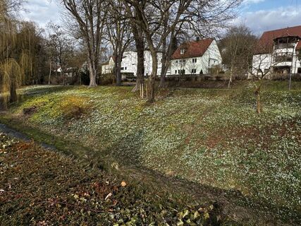 Fotografija s spletne strani Schaali na poti