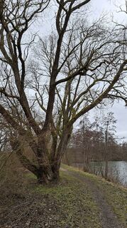Foto von Rainer Krombholz entlang der Tour
