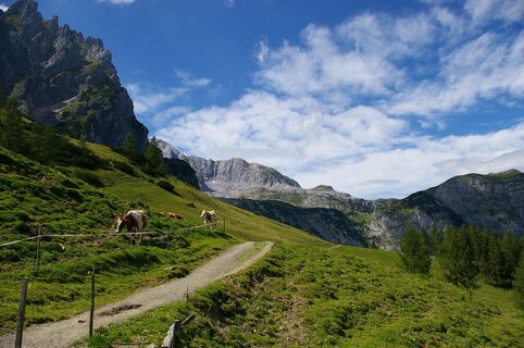 Weg zur Mitterfeldalm