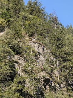 Photo de Mark Neill le long du parcours