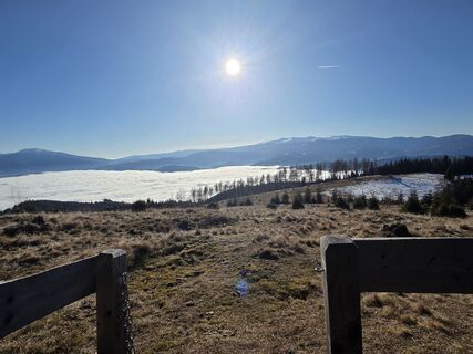 Foto von Gerti Bärnthaler entlang der Tour