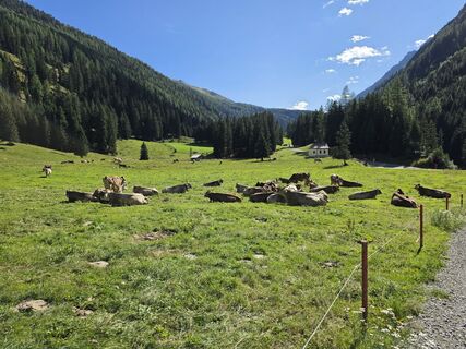 Foto von Alexander Becker entlang der Tour