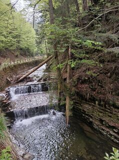 Foto von Daniel Kremiec entlang der Tour