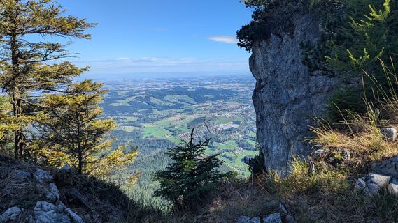 Photo de Ziegler Em1304 le long du parcours