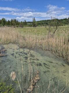 Photo de Reise5 Koenigin le long du parcours