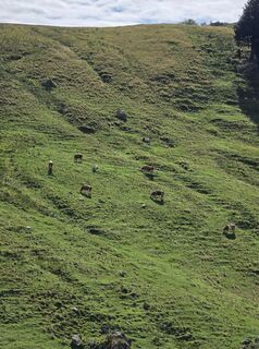 Photo de Domenic Beyrowski le long du parcours