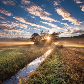 Sonnenaufgang im Ruggeller Riet