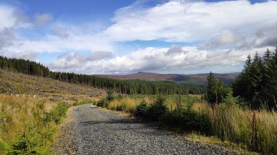 Foto de Ub a lo largo del recorrido