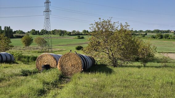 Fotografia z Claudia Maurer na trase