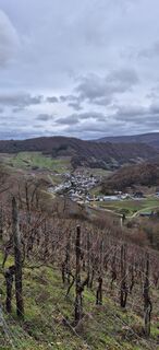 Foto de Axel Gruenewald a lo largo del recorrido