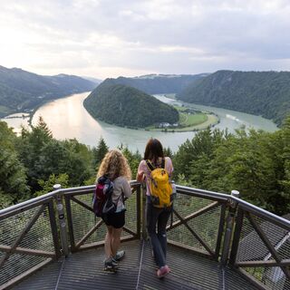 Ausblick auf die Donauschlinge Schlögen