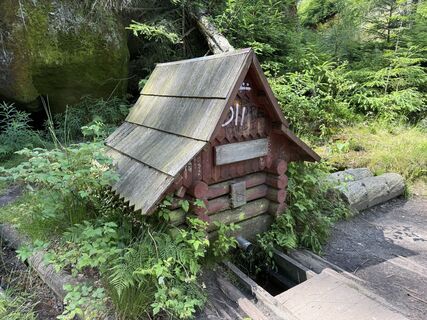 Fotografia z Norbert Herbig na trase