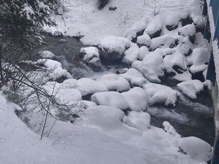 Fotografia z Sven & Aussie Lexi na trase