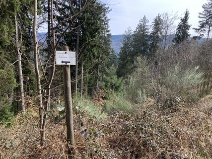 Foto von Kristina 1 entlang der Tour