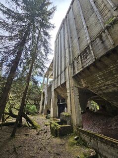 Photo de Dagmar Beierlein le long du parcours