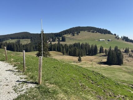 Foto de Similaun a lo largo del recorrido