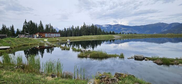 Fotografia z Berni_S na trase