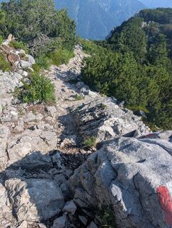 Fotografia z SFK na trase