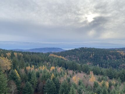 Foto von Arthur Muskalla entlang der Tour