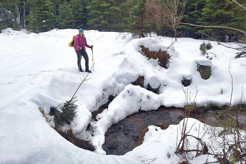 Winterstimmung am Weg