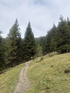 Fotó a Peter De Smedt2 honlapról a túra során