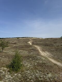 Foto von Stefan Otto entlang der Tour