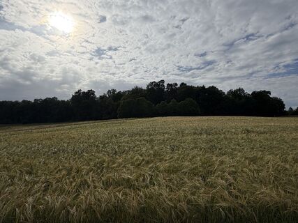 Foto von Schaali entlang der Tour