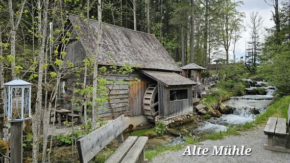 Photo de Grieshofer Gerlinde le long du parcours