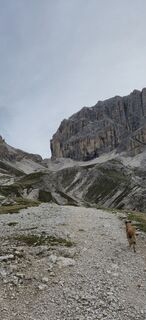 Fotografia z Martin Nußbaumer 1 na trase