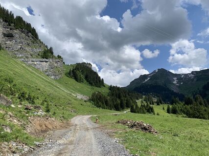 Fotografia z Koen De Wit na trase