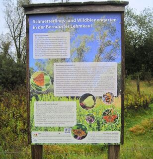 Tafel Schmetterlings- und Wildbienengarten Berndorfer Lehmkaul