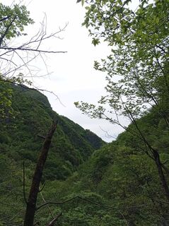 Foto de Aner a lo largo del recorrido