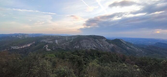 Foto von Car Los entlang der Tour