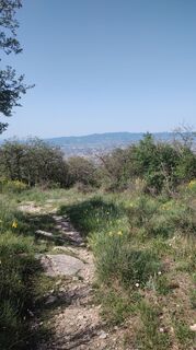 Spazzavento ad anello