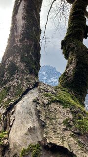 Foto von Jürgen Wolfahrt entlang der Tour