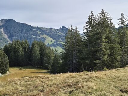 Photo de Thomi W le long du parcours