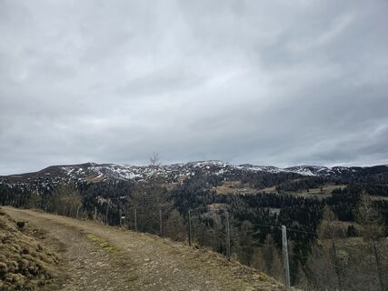 Фото с сайта Lauri Lauri во время экскурсии