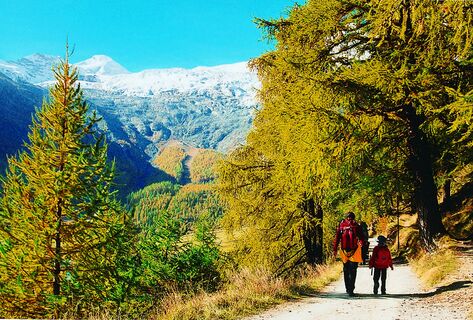 Höhenweg Saas-Fee - Grächen