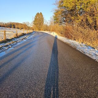 Photo de garrincha le long du parcours