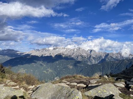 Fotografija s spletne strani Lea na poti