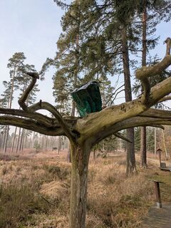 Photo de Hell-mood le long du parcours