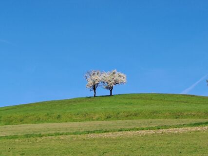 Fotografija s spletne strani greinerin na poti