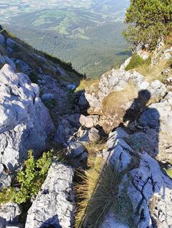 Fotografija s spletne strani sntyy na poti