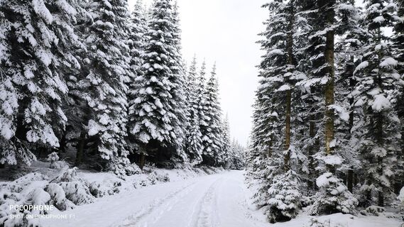 Fotó a Edit Szoboszlay honlapról a túra során