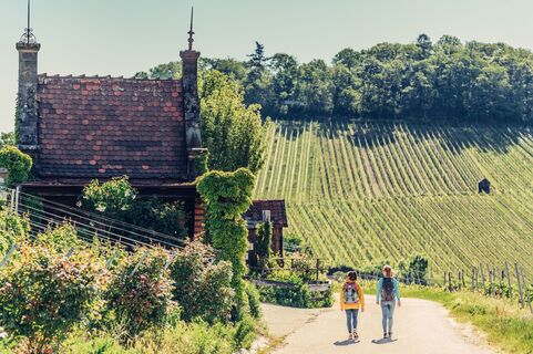 Wandern am Wartberg | Weinstadt Heilbronn | HeilbronnerLand