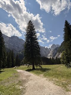 Fotografija s spletne strani Hans Peter Gröchenig na poti