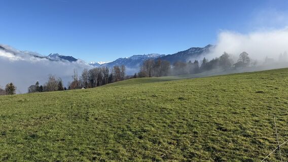 Foto von peter_oe entlang der Tour